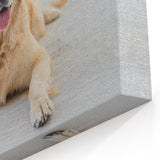 Golden Retriever Dog Wall Decor - Cute Dog Pictures & Canvas Art