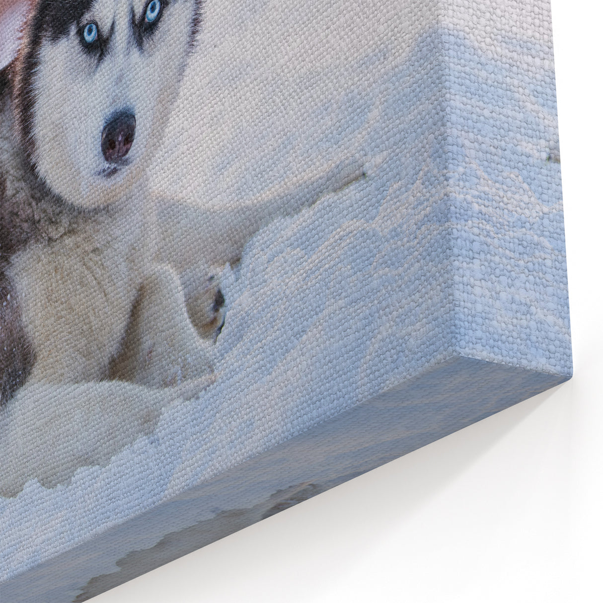 Husky Dog Winter Wonderland Wall Decor - Dog Lover Gifts & Prints