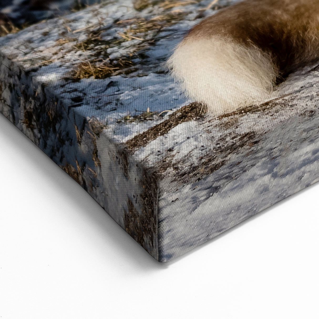 Majestic Husky Dog Art Prints - Dog Wall Decor for Nature Lovers