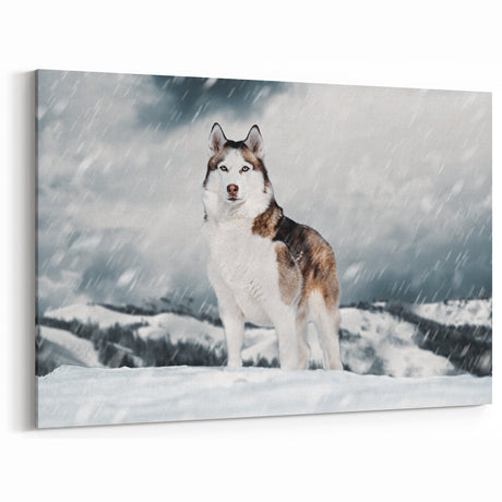 Majestic Husky in Snow Wall Decor - Dog Canvas Art & Gifts