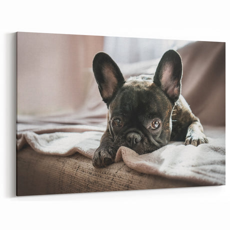Charming French Bulldog Art Prints - Dog Wall Decor for Pet Lovers