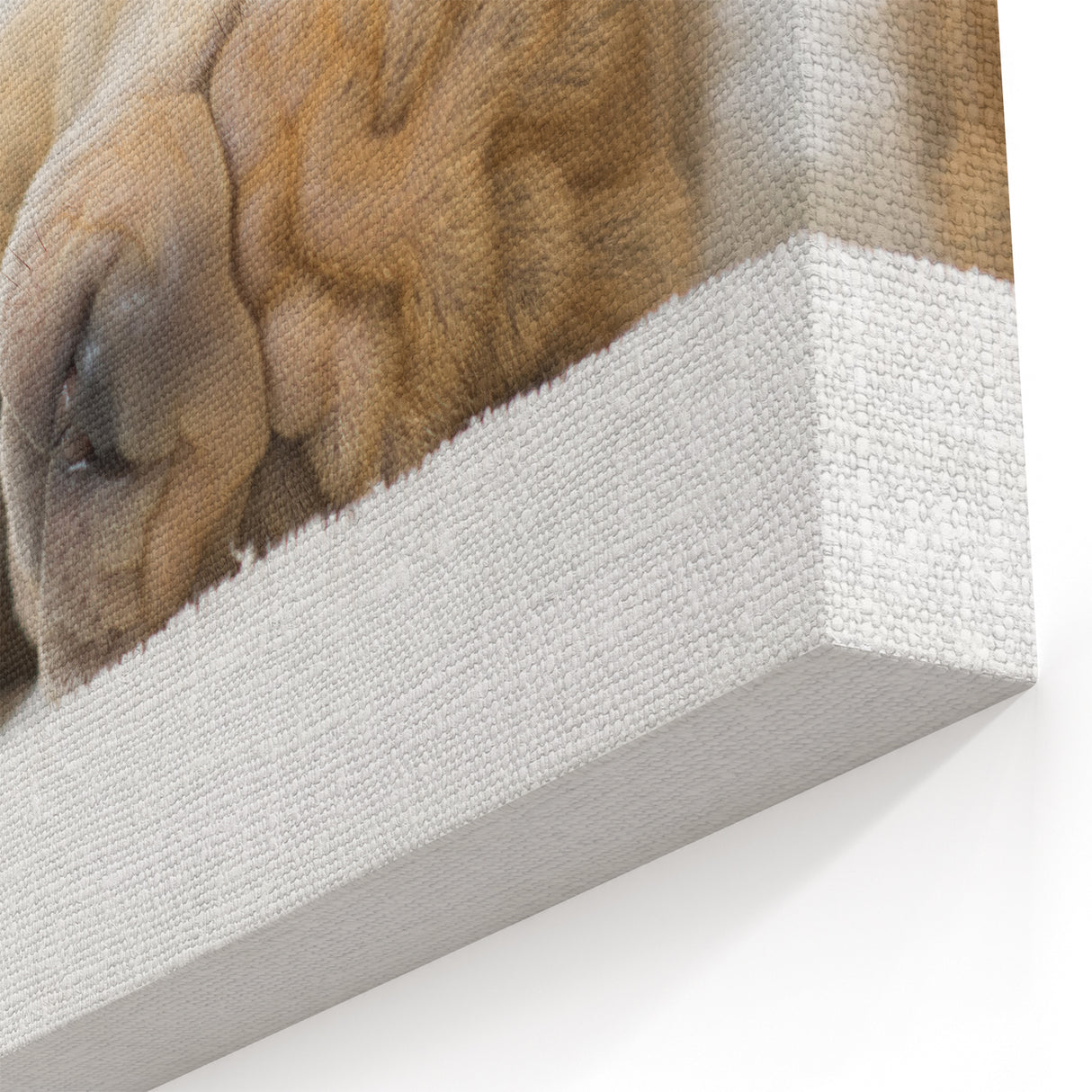 Adorable Shar Pei Puppy Art Prints - Dog Wall Decor for Cozy Homes