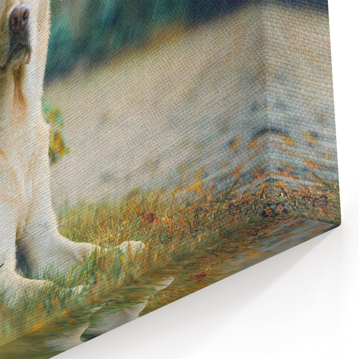 Labrador Retriever in Nature Wall Decor - Dog Canvas Art & Gifts
