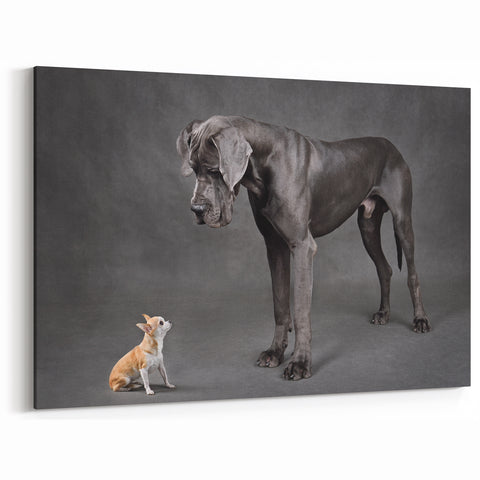 Contrasting Great Dane and Chihuahua Art Prints - Dog Wall Decor