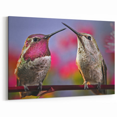 Colorful Hummingbird Wall Art - Hummingbird Canvas Art & Decor
