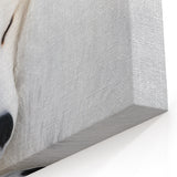 Serene Arctic Fox Wall Art - Elegant White Fox on Canvas and Prints