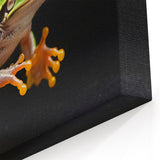 Dynamic Frog Wall Art - Jumping Amphibian Canvas & Framed Prints