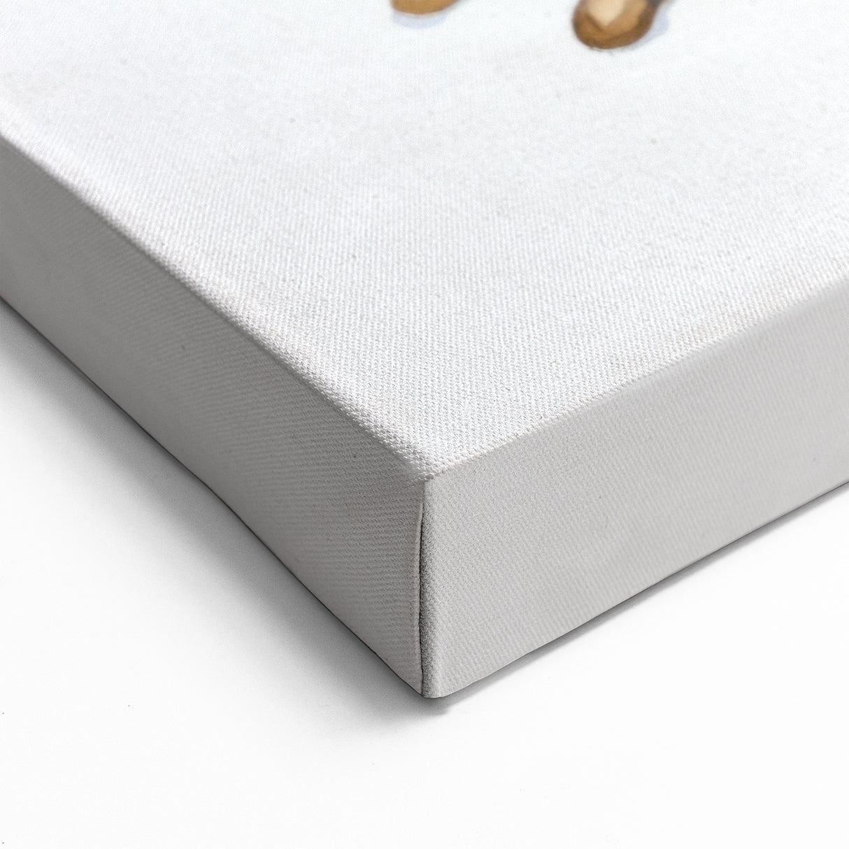 Realistic Frog Wall Art - Detailed Amphibian Canvas Print for Nature Lovers