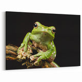 Green Tree Frog Wall Art - Amphibian Canvas Print for Nature Decor