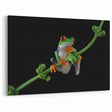 Tree Frog Wall Art - Vibrant Amphibian Canvas Print for Nature Decor