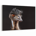 Majestic Ostrich Wall Art - Bold African Ostrich Canvas Decor