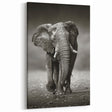 Monochrome Elephant Wall Art - Striking Black & White Canvas Print