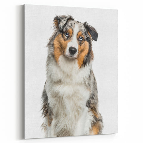 Charming Australian Shepherd Wall Art - Cute Australian Shepherd Canvas Art