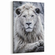 Majestic Lion Wall Art - Safari Wildlife Canvas Print
