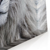 Majestic Lion Wall Art - Safari Wildlife Canvas Print