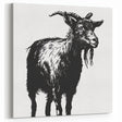 Black & White Goat Wall Art - Classic Canvas, Framed & Acrylic Prints