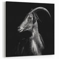 Dramatic Goat Portrait Wall Art - Bold Canvas, Framed & Acrylic Prints