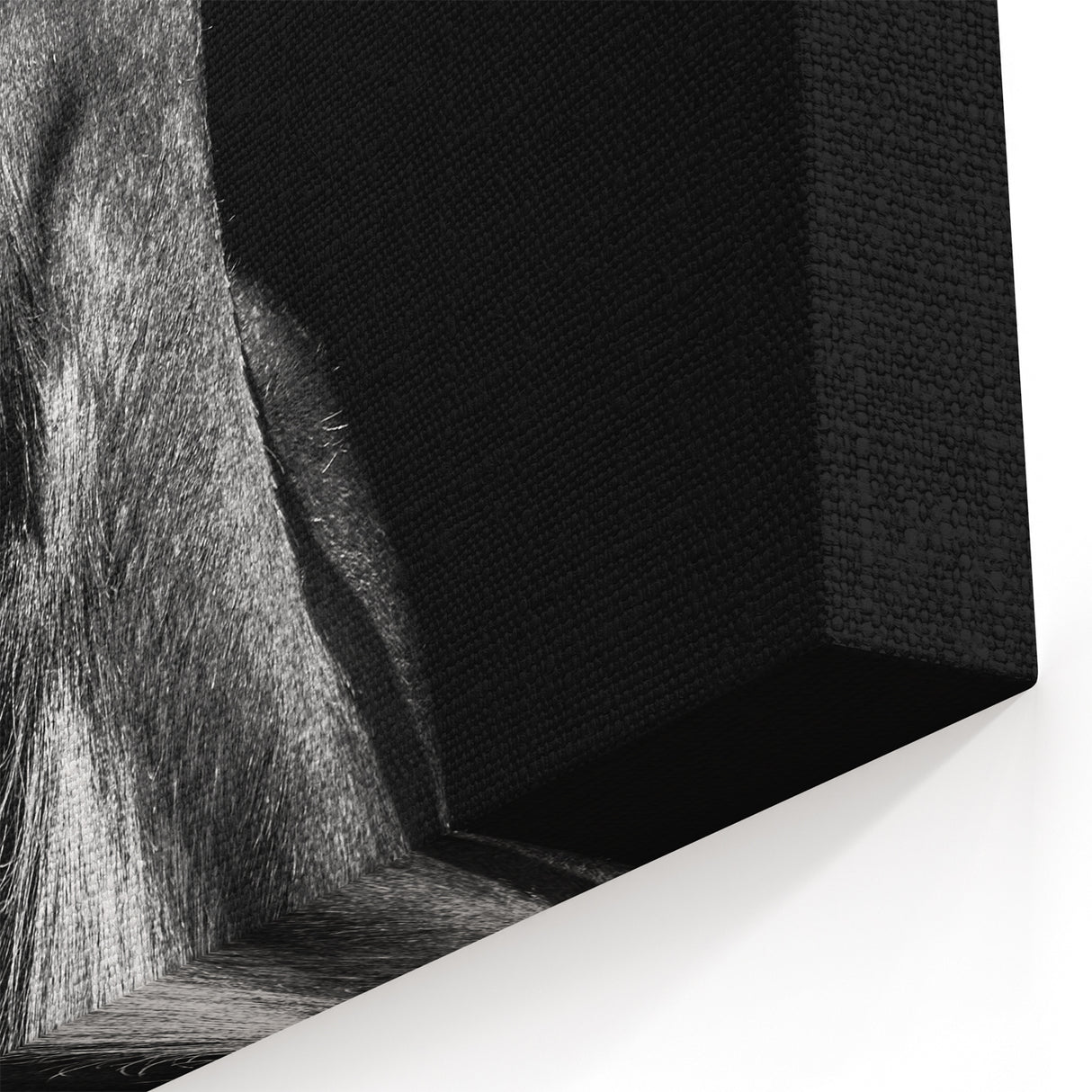 Dramatic Goat Portrait Wall Art - Bold Canvas, Framed & Acrylic Prints