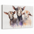 Charming Goat Trio Wall Art - Watercolor Canvas, Framed & Acrylic Prints