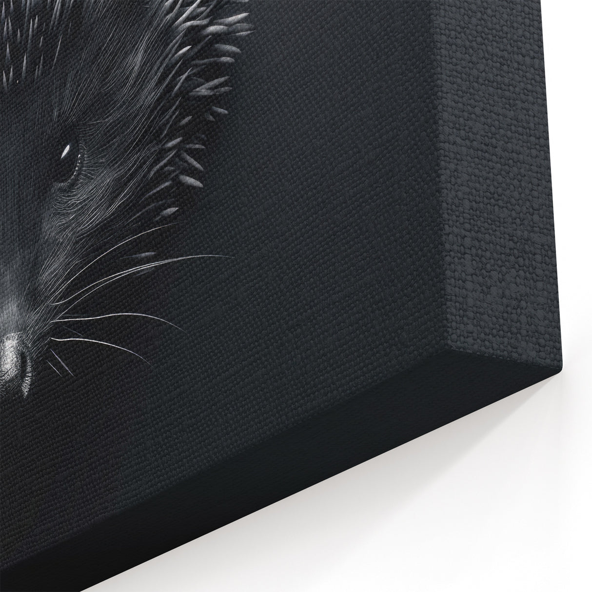 Elegant Hedgehog Wall Art - Framed, Canvas & Acrylic Monochrome Decor