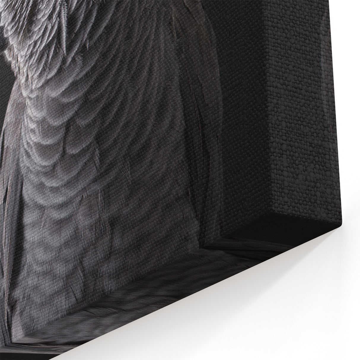 Sleek African Grey Parrot Wall Art - Monochrome Parrot Canvas Print