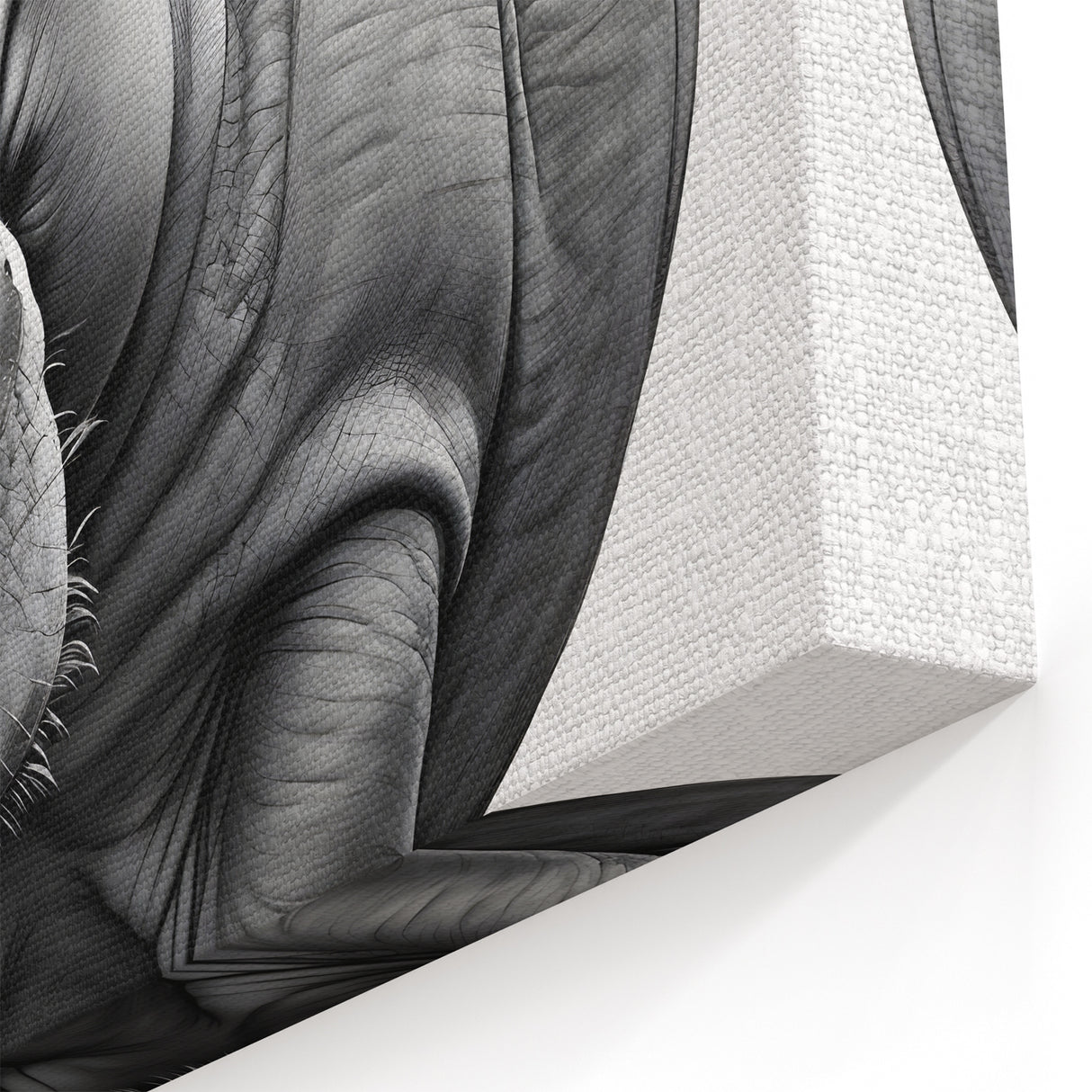 Minimalist Hippo Portrait - Black and White Hippopotamus Canvas & Prints