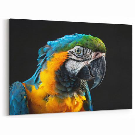 Bold and Colorful Parrot Wall Art – Perfect Tropical Decor for Vibrant Spaces