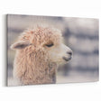 Charming Llama Wall Art - Rustic Canvas & Framed Prints for Farmhouse Decor