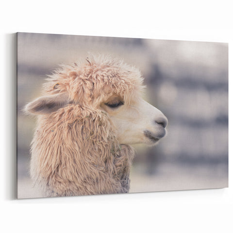 Charming Llama Wall Art - Rustic Canvas & Framed Prints for Farmhouse Decor