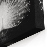 Elegant White Peacock Wall Art - Stunning Black & White Canvas Print