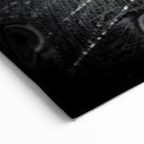 Monochrome Peacock Wall Art - Sophisticated Black and White Decor