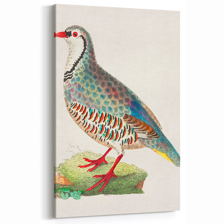 Vibrant Partridge Wall Art - Colorful Wildlife Canvas & Print Decor