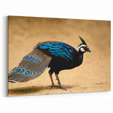 Vibrant Pheasant Wall Art - Exotic Blue Bird Canvas & Print Decor