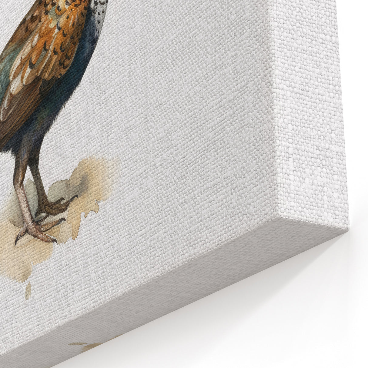 Minimalist Pheasant Wall Art - Elegant Wildlife Canvas & Print Decor