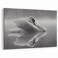 Elegant Swan Wall Art - Serene Black & White Swan Canvas Decor Print
