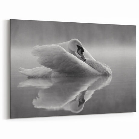 Elegant Swan Wall Art - Serene Black & White Swan Canvas Decor Print