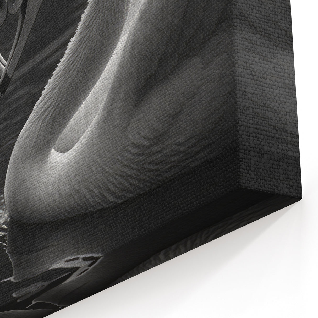 Black and White Swan Heart Wall Art - Elegant Swan Canvas Print