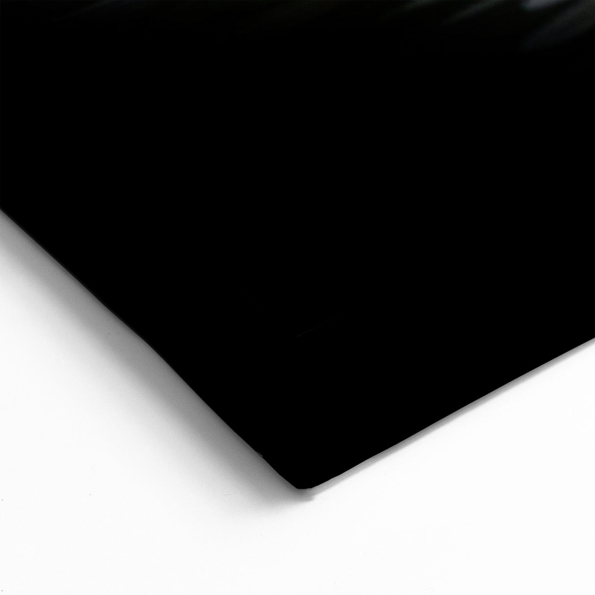 White Swan Wall Art - Elegant Swan Canvas Print with Dark Background