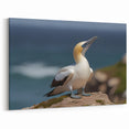 Majestic Seabird on Cliff - Coastal Birds Canvas Art & Ocean Decor