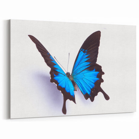 Vivid Blue Butterfly Wall Art - Striking Nature-Inspired Decor