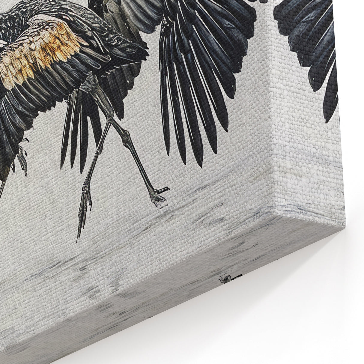 Elegant Black-and-White Cranes Wall Art - Exotic Bird Print Nature Decor