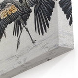 Elegant Black-and-White Cranes Wall Art - Exotic Bird Print Nature Decor