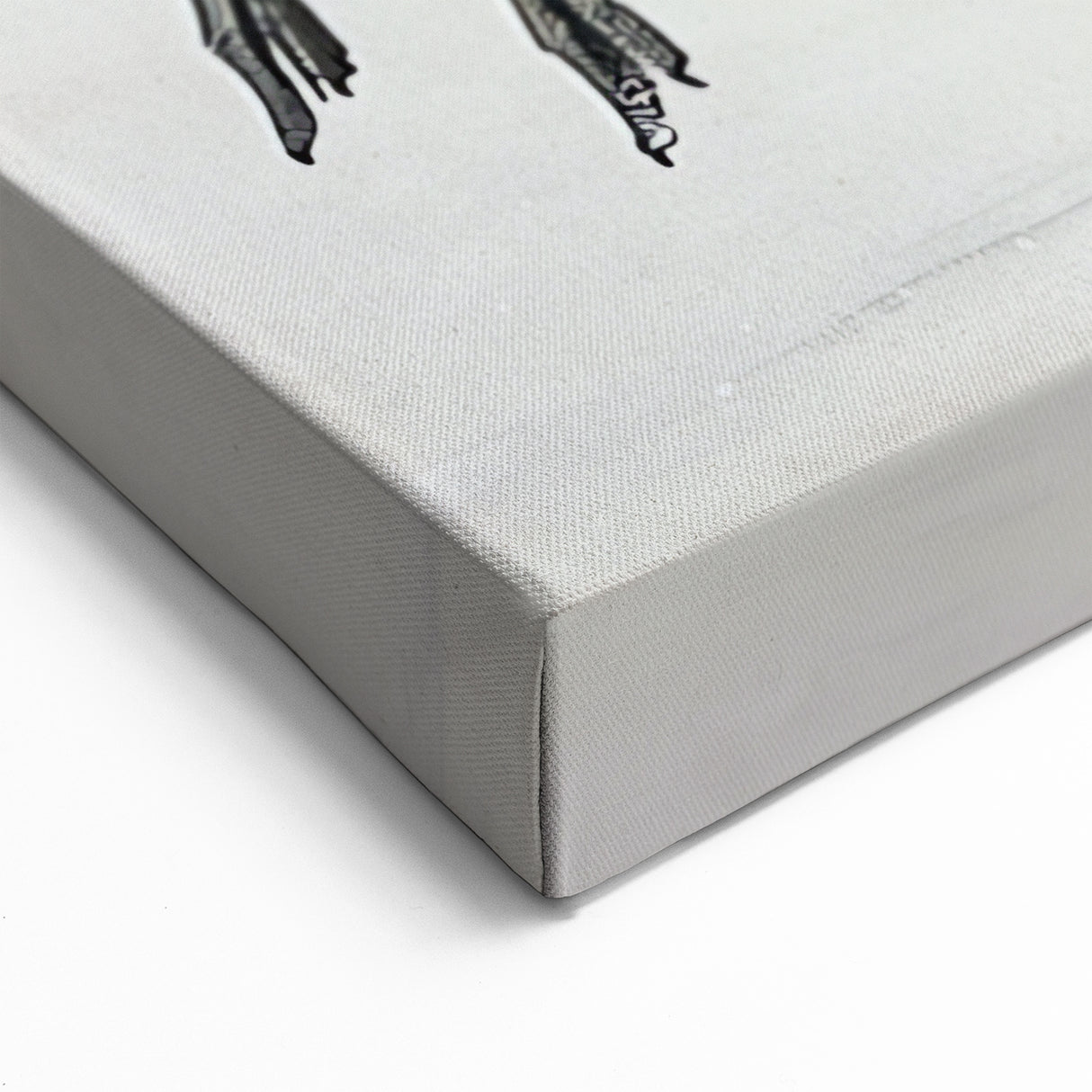 Elegant Black-and-White Cranes Wall Art - Exotic Bird Print Nature Decor