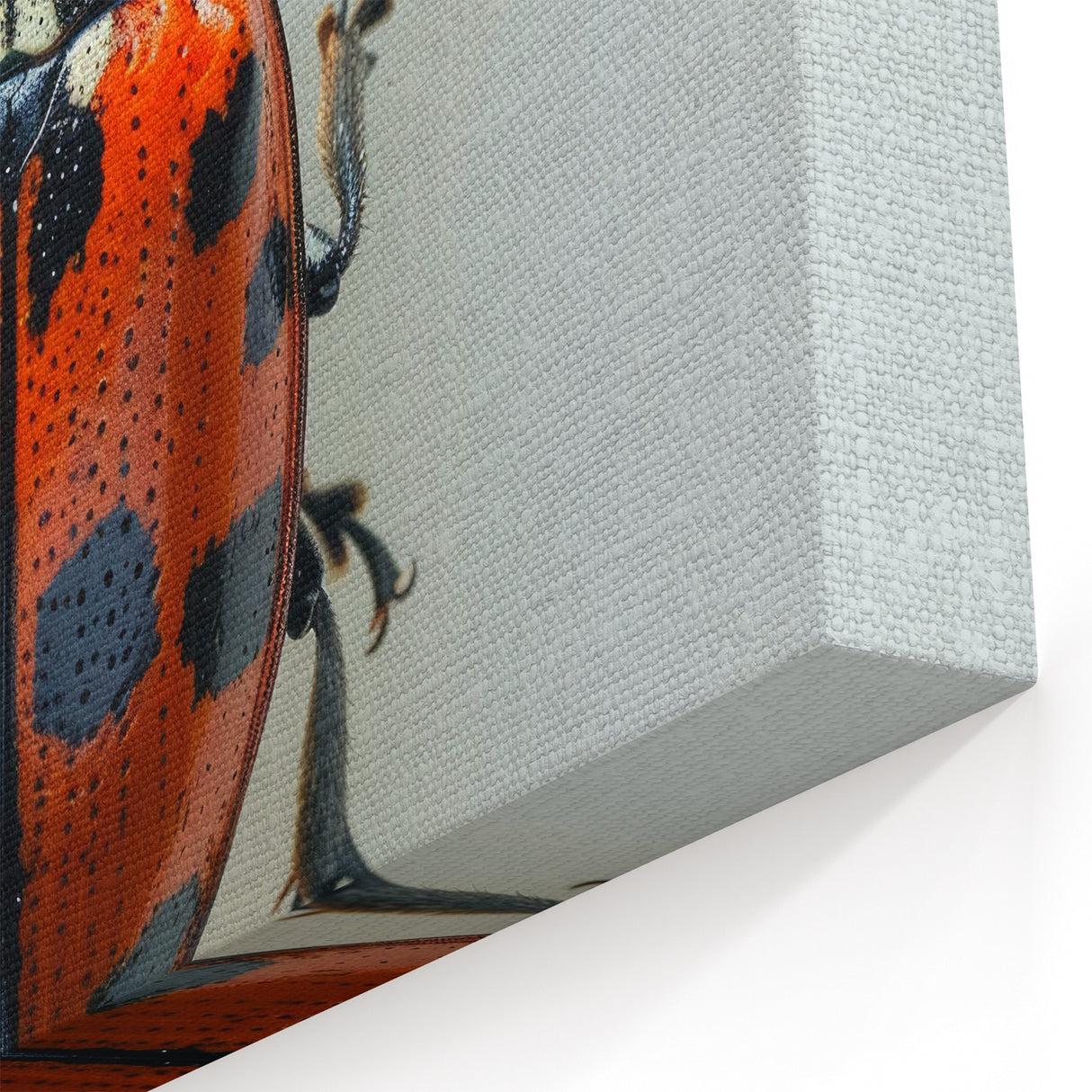 Ladybug Wall Art - Realistic Ladybug Canvas Print for Nature Enthusiasts