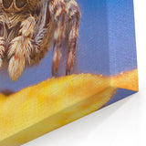 Vivid Spider Wall Art - Arachnid Design on Canvas & Acrylic Glass