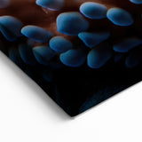 Coral and Starfish Wall Art - Ocean Life Canvas Print - Underwater Decor