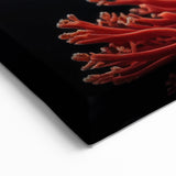 Coral Wall Art - Striking Red Coral Canvas Print & Framed Art Decor