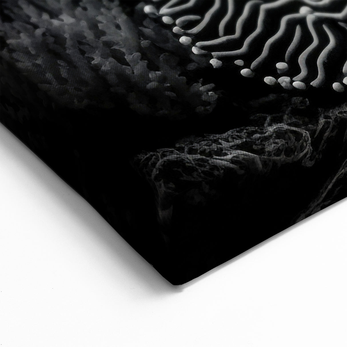 Coral Wall Art - Black and White Coral Canvas Print & Framed Art Decor