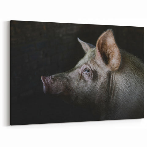 Pig Wall Art - Rustic Farm Animal Print on Canvas, Framed, or Acrylic Glass