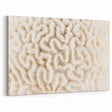 Elegant White Coral Wall Art - Minimalist Marine Life Canvas Print